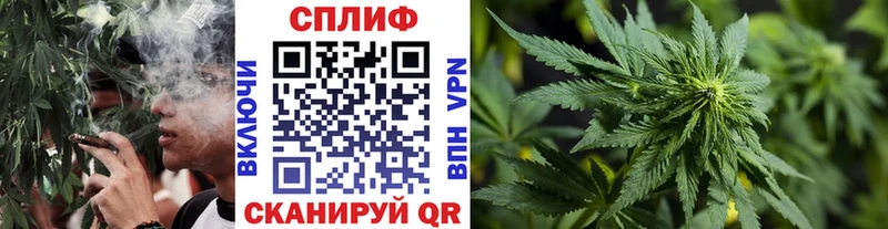 Купить где  Туран  Бошки марихуана конопля 